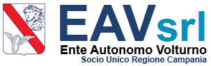 EAV Logo